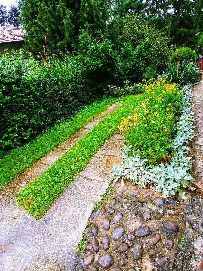 Kuca Za Odmor "Livadica" Villa Netretic Eksteriør bilde